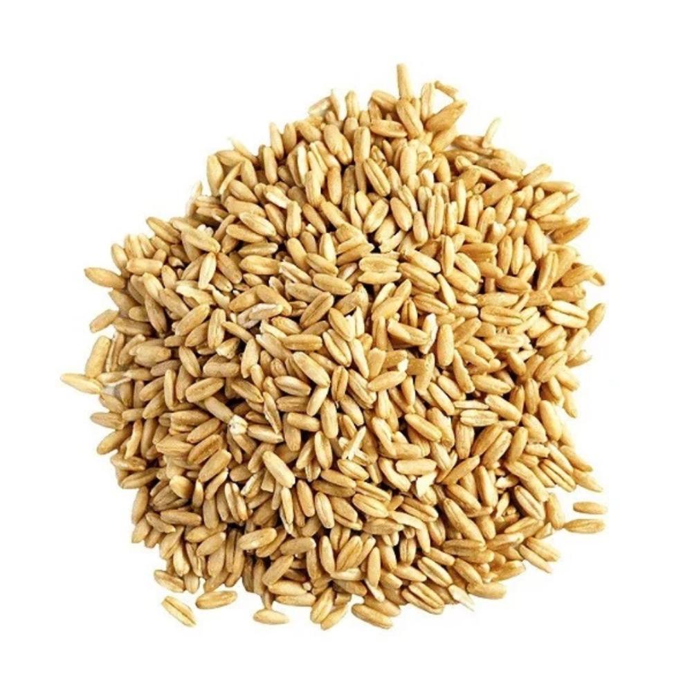 Arroz com casca - KG