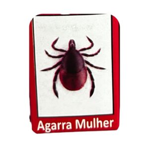 Perfume - Agarra Mulher 10ML