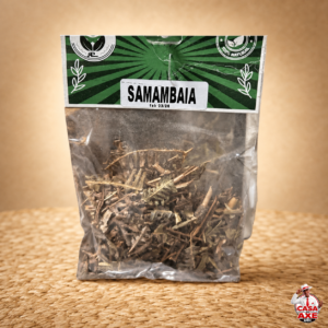 Banho - Samambaia | Casa do Axe Udi