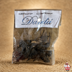 Banho - Dandá | Casa do Axe Udi