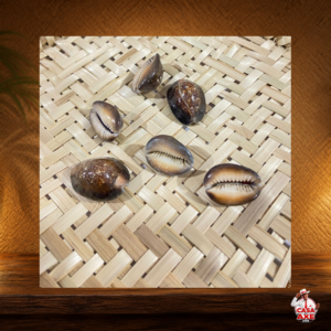 Candomblé - Búzios Africano | Casa do Axé Udi