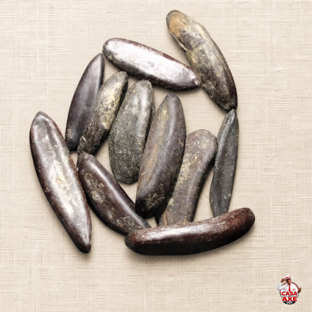 Fava - Dedo de Pomba Gira | Casa do Axé Udi
