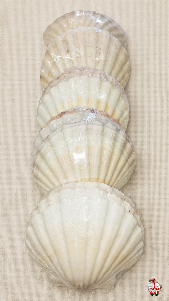 Shell branca grande unidade