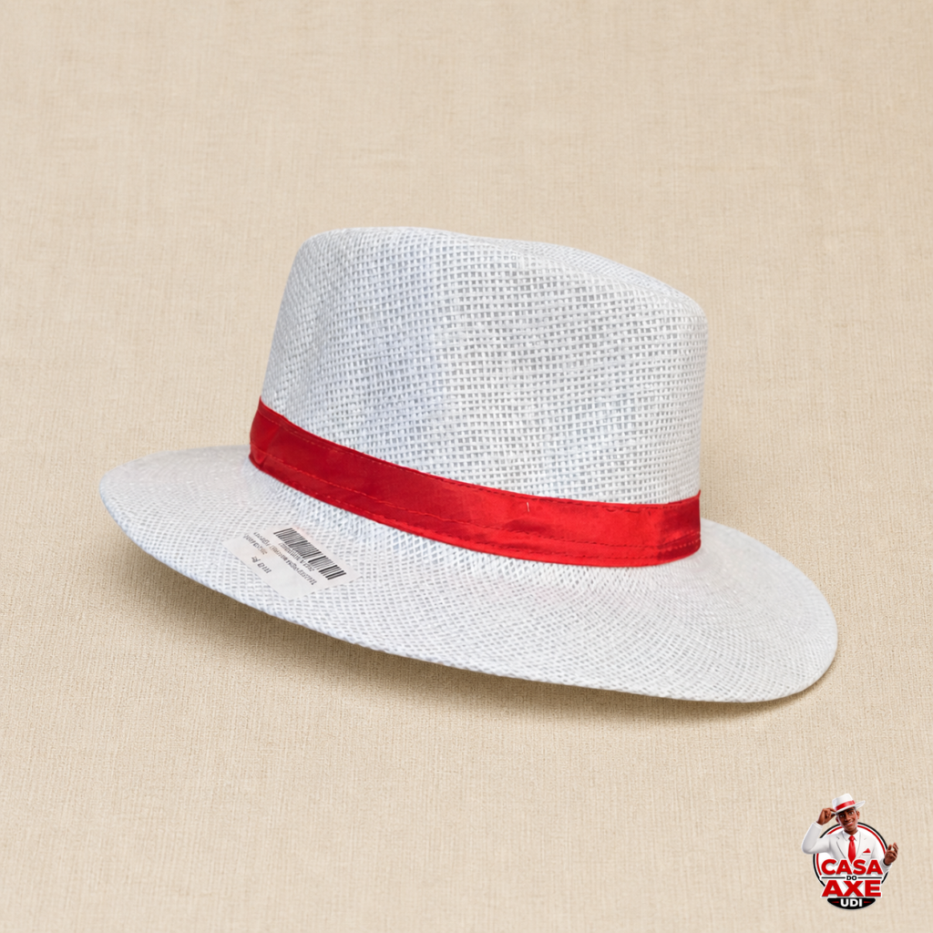 Chapeu Estilo panama