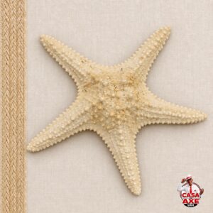 Estrela-do-Mar Natural Grande | Casa do Axe Udi